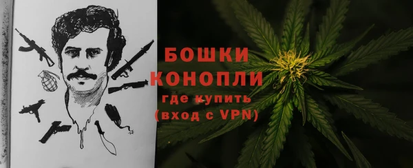 ПСИЛОЦИБИНОВЫЕ ГРИБЫ Армянск