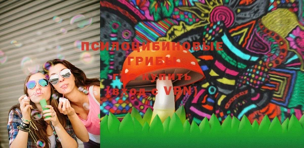 ПСИЛОЦИБИНОВЫЕ ГРИБЫ Армянск