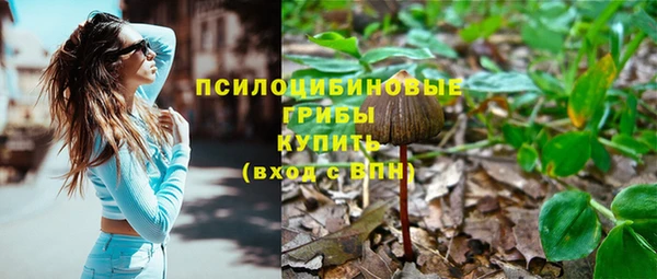 соль курить ск Арсеньев