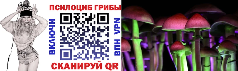 где купить наркоту  Оса  blacksprut зеркало  Псилоцибиновые грибы Magic Shrooms 